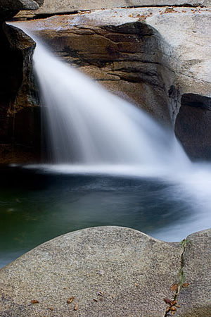 THE BASIN