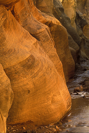 WILLIS CREEK