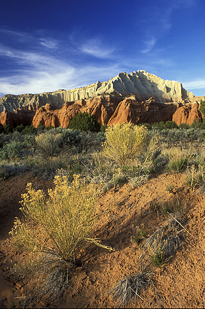 KODACHROME