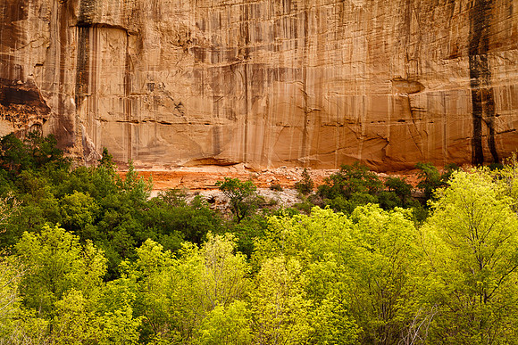CALF CREEK VALLEY