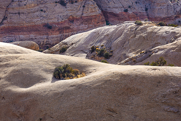 UNDULATIONS