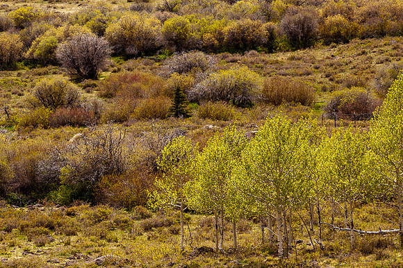 LONG VALLEY2