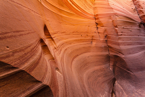 ZEBRA CANYON2