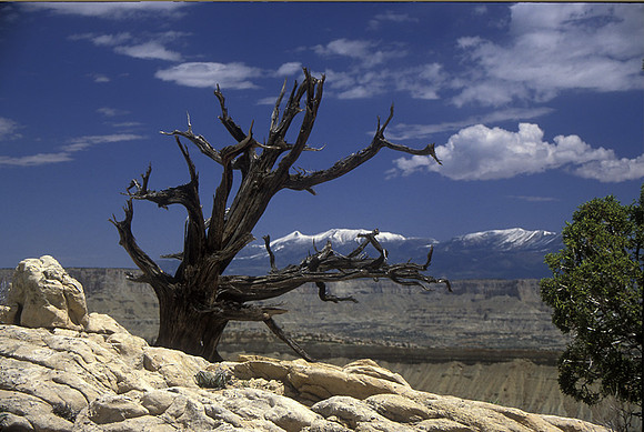 STRIKE VALLEY