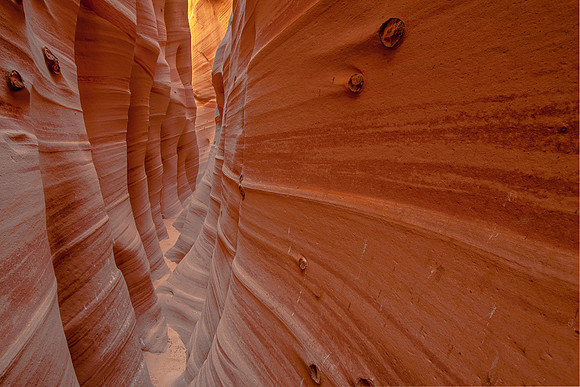 ZEBRA CANYON