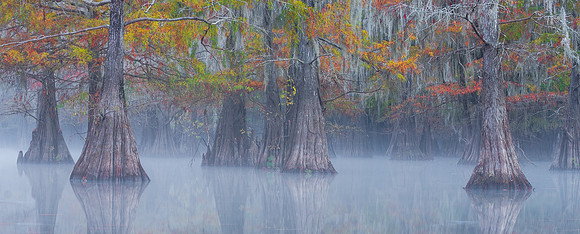 MORNING MIST