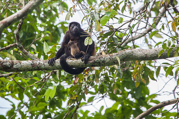 MOTHER AND CHILD