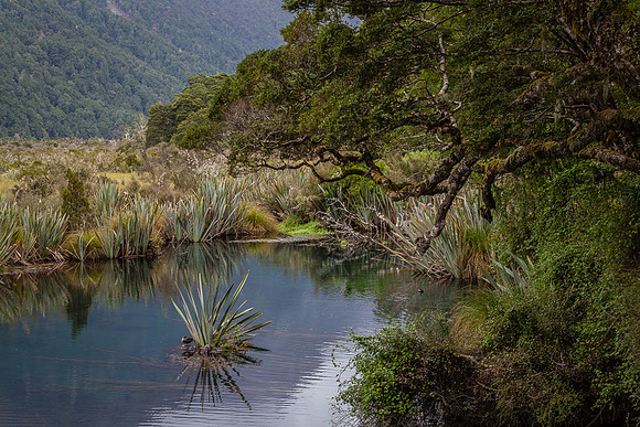 MIRROR LAKE