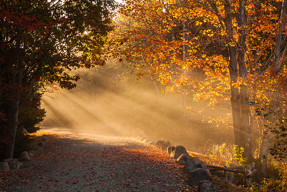 GOD RAYS