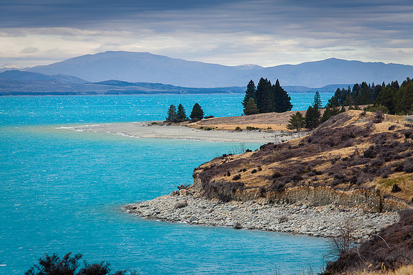 LAKE TEKAPO COAST