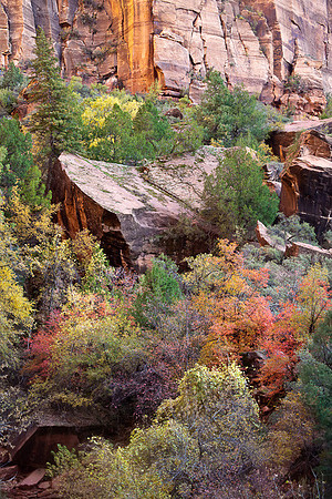 Fall palette