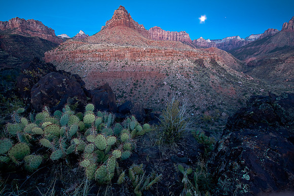 Kolob Terrace