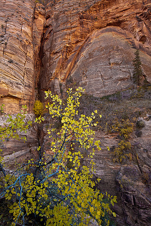 Overlook trail