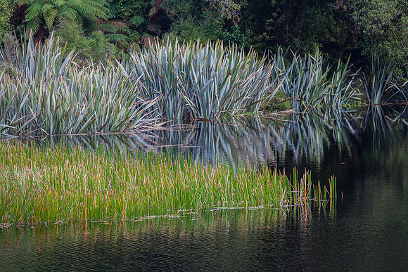 LAKE MATHESON WALK
