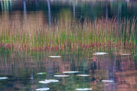 REFLECTIONS