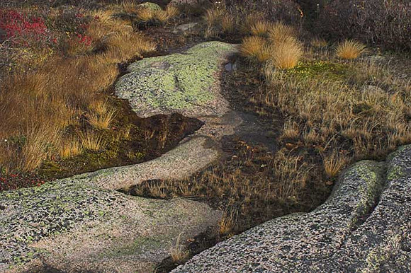 GRANITE COLLAGE
