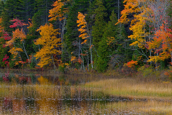 Eagle lake