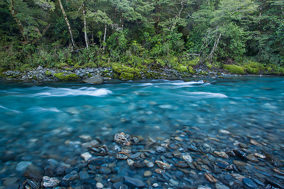 BLUE POOLS
