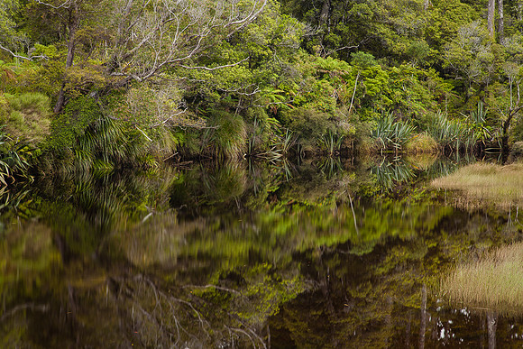SHIP CREEK 2