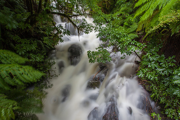 CHASM WALK