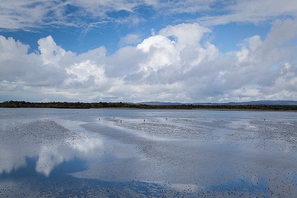 OKARITO LAGOON