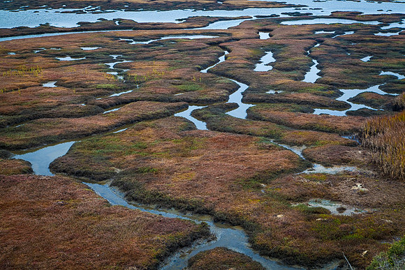 DRAKE'S ESTERO