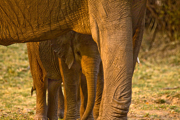 Mother and child