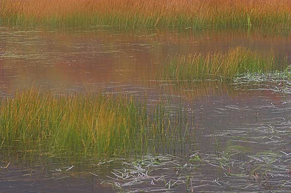 POND2
