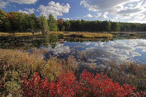 WITCH HOLE POND