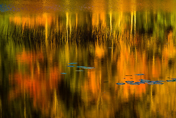 Reflection
