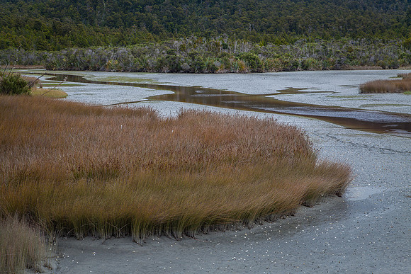 LAGOON STREAM