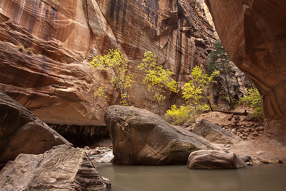 Narrows still