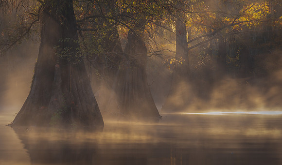 FOG DANCE