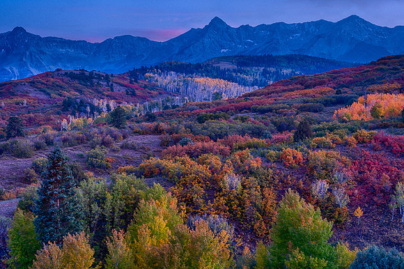 DALLAS DIVIDE