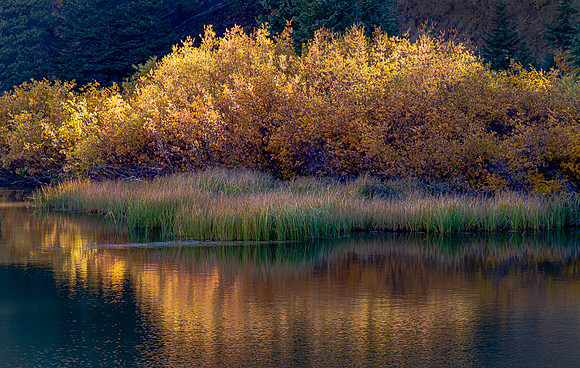 POND