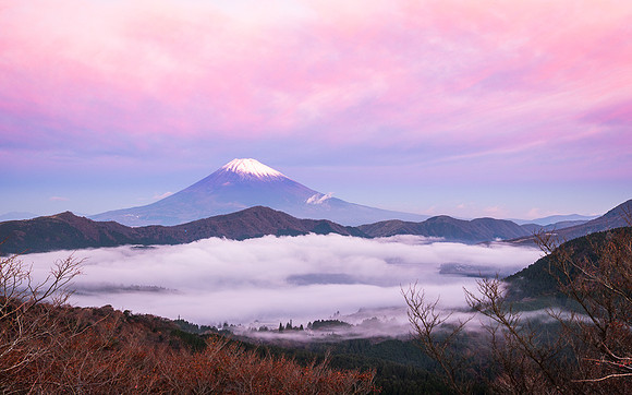 MT FUJI
