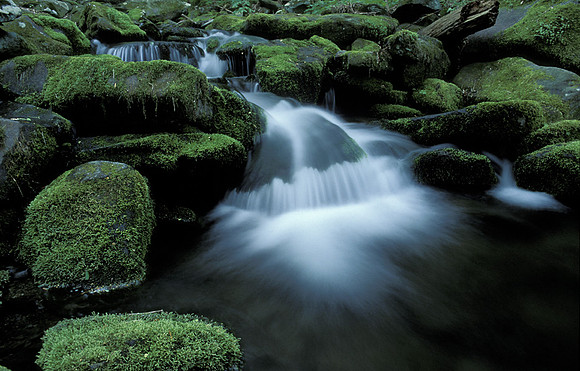 SMOKEY FALLS