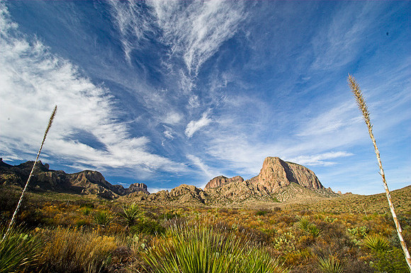 OCOTILLO SKIES