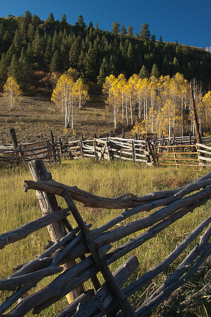 Corral