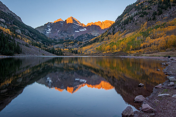 MAROON BELLS