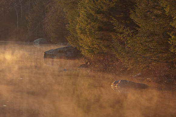 Morning steam