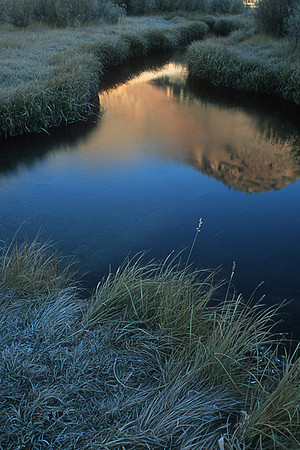 Marsh