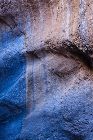 WALL PAINT
