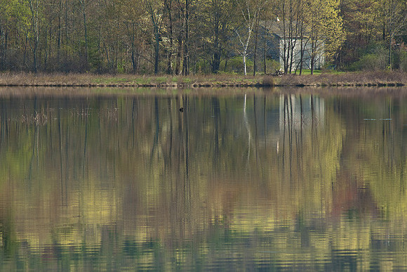 Reflections