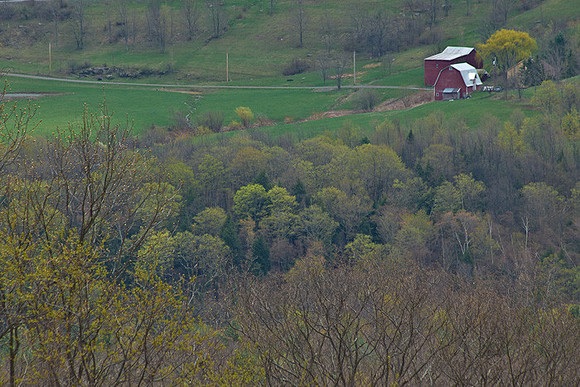 Valley view