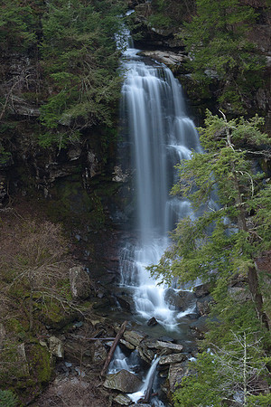 Platte Cove Reserve