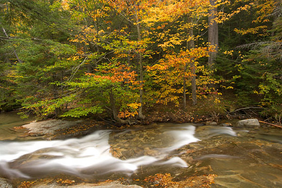 FALL STREAM