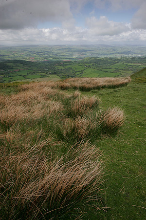 WYE VALLEY