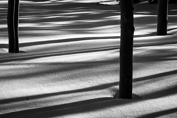 SHADOWS