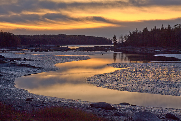 Tidal Marsh